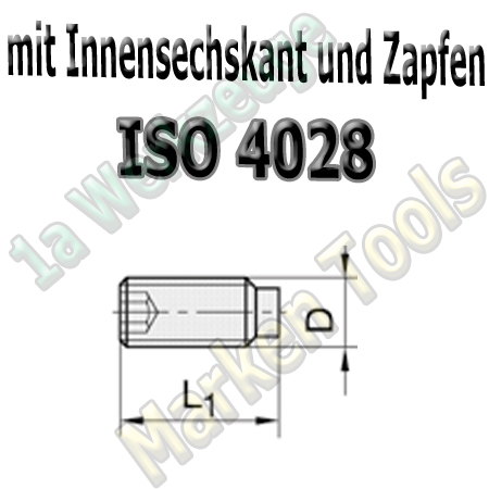 Gewindestift M6x12 nach ISO 4028 mit Innensechskant und Zapfen (10Stck.)