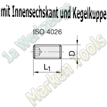 Gewindestift M5x5 ISO 4026 (mit Innensechkant und Kegelkuppe) 10 Stück-