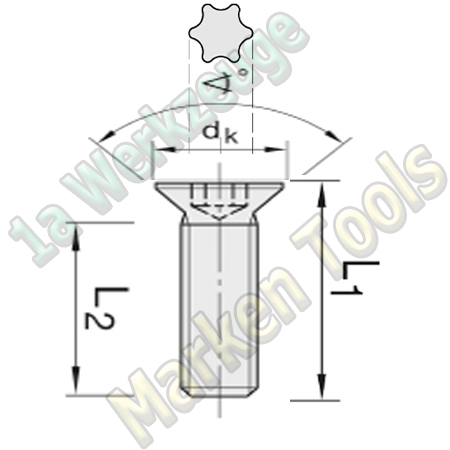 Linsenkopfschraube M4x6 ( Kopf D9mm )Torx T15